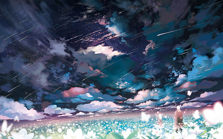 man watching shooting star HD wallpaper, shooting stars, flowers, butterfly, clouds, Mushishi, Ginko (Mushishi), anime, sky, HD wallpaper