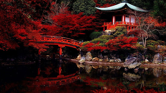 japonais, jardin japonais, temple daigo-ji, temple daigo ji, temple daigoji, temple, kyoto, japon, feuilles rouges, Fond d'écran HD HD wallpaper