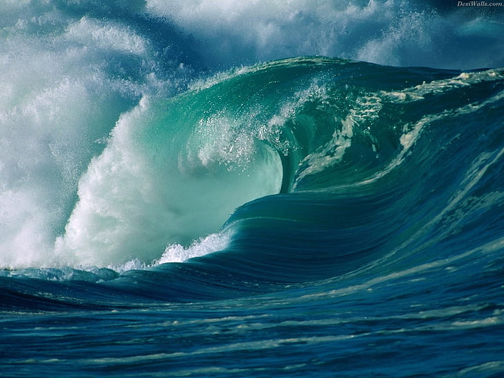 ondas, formas de onda, mar, água, natureza, HD papel de parede