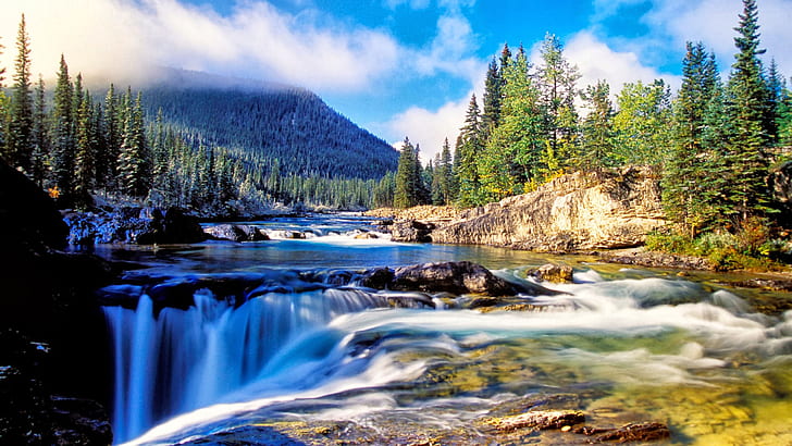 Nature Mountain Dense Spruce Forest, River Rock Waterfall Background, HD wallpaper