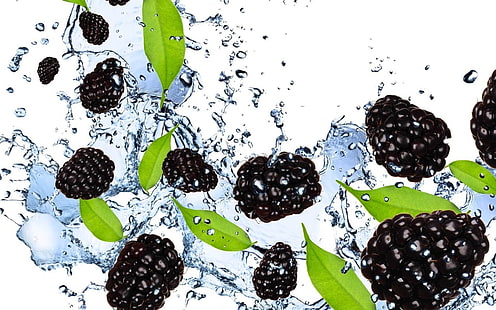Blackberry, Berry, Splashes, Water, Leaves, HD wallpaper HD wallpaper