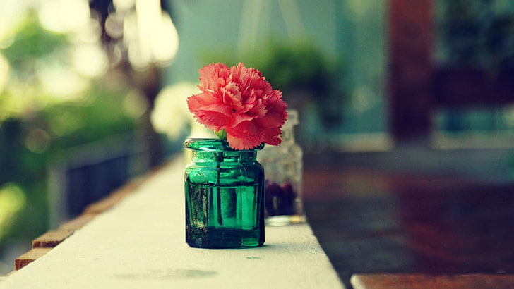 جرة زجاجية خضراء ، ماكرو ، زهور، خلفية HD