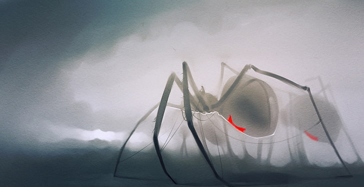 gri örümcek, CGI, Kara Dul, örümcek, beyaz, HD masaüstü duvar kağıdı