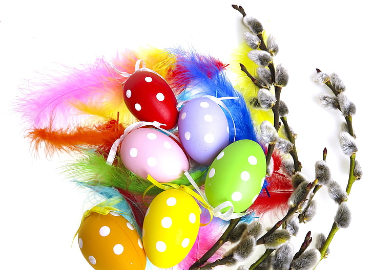 eggs, colorful, Easter, Verba, willow twig, HD wallpaper