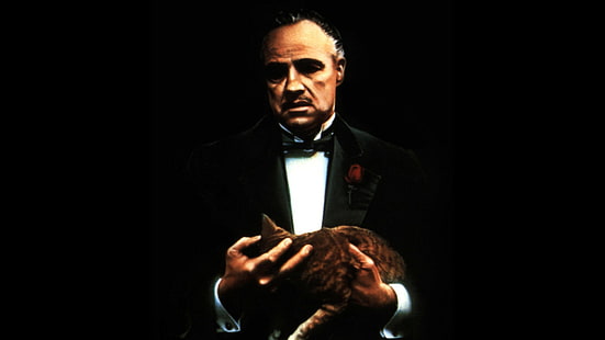Крестный отец, кот, Марлон Брандо, Вито Корлеоне, HD обои HD wallpaper