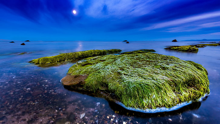 ilha verde, natureza, paisagem, noite, lua, nuvens, escócia, reino unido, mar, algas marinhas, horizonte, rocha, longa exposição, HD papel de parede