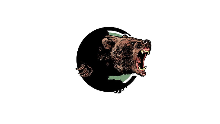 papier peint ours brun et noir, visage, ours, bouche, crocs, rugissement, Fond d'écran HD