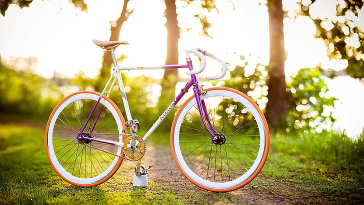 white and purple road bicycle, bike, summer, spring, sun, mood, HD wallpaper