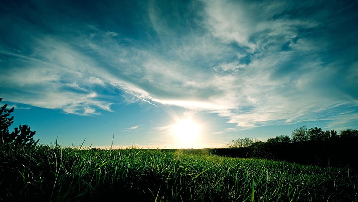 зеленая трава, темнота, облака, трава, природа, пейзаж, небо, солнечный свет, HD обои
