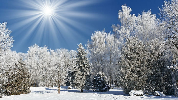 Солнечный зимний пейзаж, снег, лес, зима, природа и пейзажи, HD обои