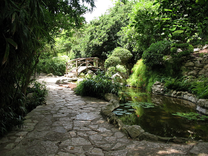 сив дървен своден мост, мост, градина, пътека, езерце, водни лилии, зеленина, камъни, HD тапет