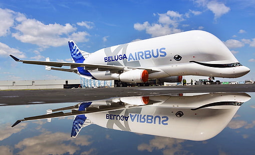 the plane, Reflection, Cargo, Airbus, Beluga, A300, Airbus Beluga, Super Transporter, Beluga XL, cargo Airbus, Airbus Beluga XL, Airbus XL, Airbus A300, by Reymondon, Reymondon, HD wallpaper HD wallpaper