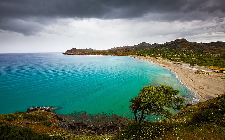 Natura, krajobraz, plaża, polne kwiaty, morze, turkus, woda, wyspa, wzgórze, Korsyka, natura, krajobraz, plaża, polne kwiaty, morze, turkus, woda, wyspa, wzgórze, Korsyka, Tapety HD