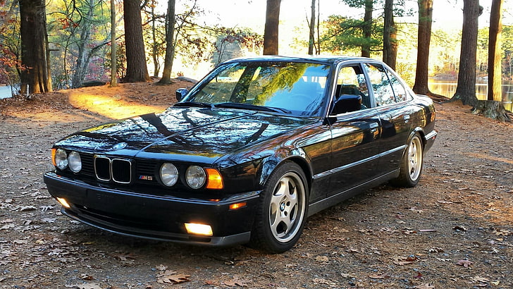 svart BMW E32 sedan, natur, BMW, klassisk, e34, HD tapet
