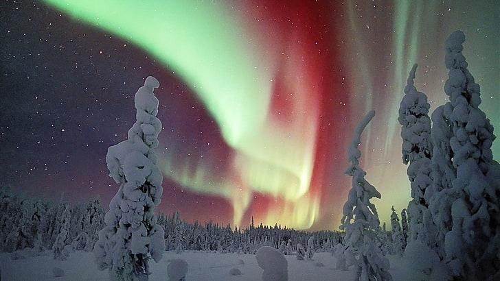 แสงออโรร่าเหนือแสงออโรร่าหิมะทิวทัศน์ต้นไม้ฤดูหนาวกลางคืนธรรมชาติ, วอลล์เปเปอร์ HD