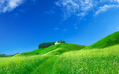 緑の丘の中腹にある夢の家、夢、家、丘の中腹、 HDデスクトップの壁紙 HD wallpaper
