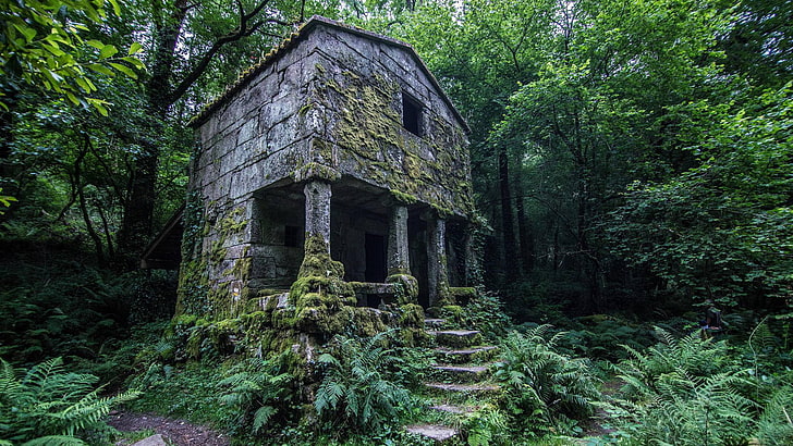 Abandoned Stone House, HD wallpaper