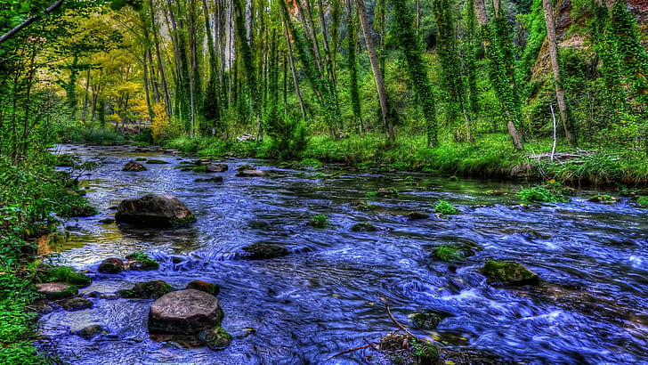 Dream A Little Stream, river timelapse, water, trees, flowing, nature, blue, green, beauty, creek, 3d and abstract, HD wallpaper