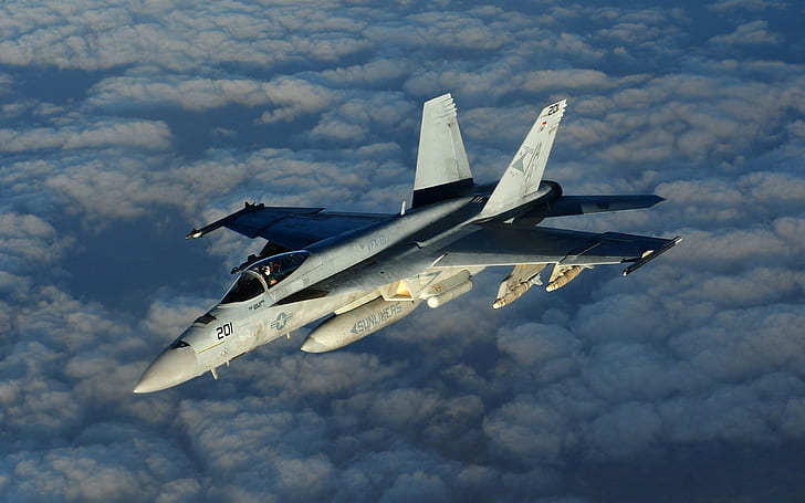 Boeing F A 18E F Super Hornet, Jet Fighter, military, Military Aircraft, HD wallpaper