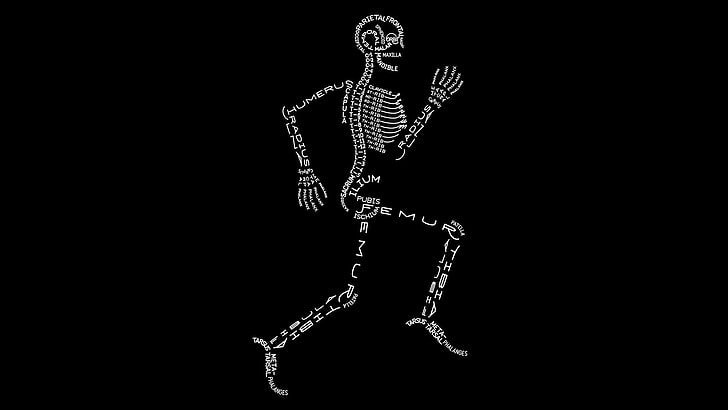 white skeleton, text, simple, skeleton, typography, simple background, medicine, science, black background, HD wallpaper
