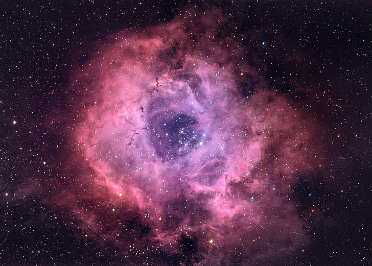 Sci Fi, Nebula, Cosmos, Rosette nebula, Space, Stars, HD wallpaper