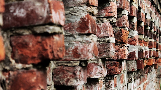 brązowy mur z cegły, ściana, tekstura, cegły, głębia ostrości, Tapety HD HD wallpaper