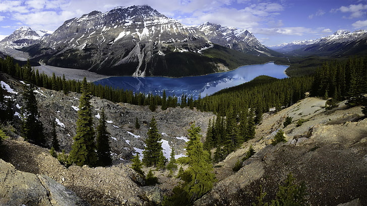 wald, bäume, berge, see, steine, felsen, kanada, panorama, banff, peyto lake, HD-Hintergrundbild