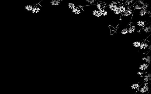 gray floral frame, butterfly, flower, black background, HD wallpaper HD wallpaper