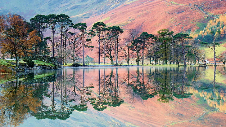 united kingdom, buttermere, sentinel pines, europe, loch, landscape, bank, mountain, sky, reflection, cumbria, buttermere lake, water, nature, reflect, tree, lake, HD wallpaper