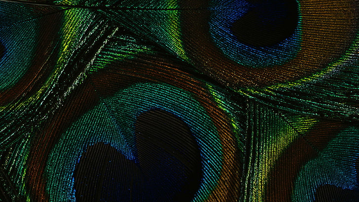 abstrato, cobra verde, digital, azul esverdeado, cobra, fractal, papel de parede, design, pano de fundo, gráfico, espaço, luz, textura, padrão, arte, nemátodo, movimento, computador, 3d, futurista, linhas, tecnologia, cor, gerado,fantasia, artística, verme, HD papel de parede