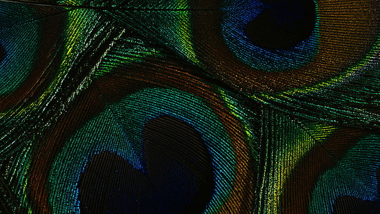 Resumen, serpiente verde, digital, azul verdoso, serpiente, fractal, papel tapiz, diseño, telón de fondo, gráfico, espacio, luz, textura, patrón, arte, nematodos, movimiento, computadora, 3d, futurista, líneas, tecnología, color, generado,fantasía, artística, gusano, Fondo de pantalla HD HD wallpaper