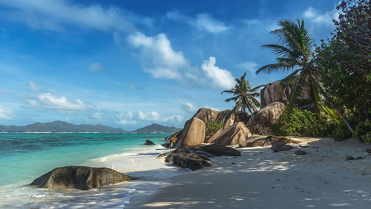leafed trees, photography, nature, landscape, beach, sand, palm trees, rocks, tropical, island, sea, morning, shadow, summer, Seychelles, HD wallpaper