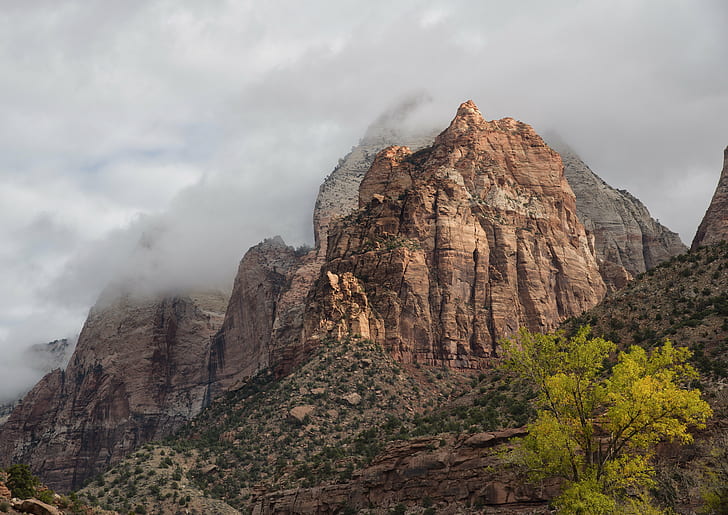 brown mountains surrounded by green leaved trees under white cloudy sky during daytime, Misty, morning, brown, mountains, green, trees, white, cloudy, sky, daytime, Zion National Park, Utah, scenery, fog, fall, foliage, nikon D800E, mountain, nature, scenics, landscape, rock - Object, outdoors, famous Place, HD wallpaper