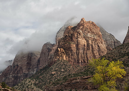 brown mountains surrounded by green leaved trees under white cloudy sky during daytime, Misty, morning, brown, mountains, green, trees, white, cloudy, sky, daytime, Zion National Park, Utah, scenery, fog, fall, foliage, nikon D800E, mountain, nature, scenics, landscape, rock - Object, outdoors, famous Place, HD wallpaper HD wallpaper