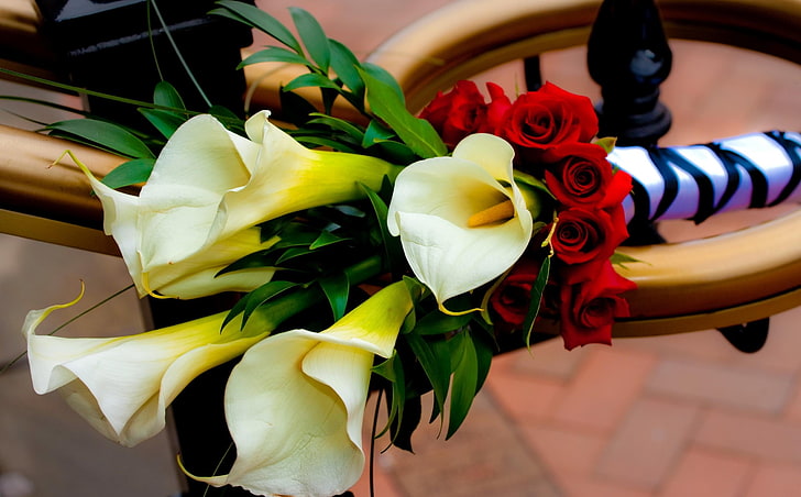 weiße Blumen, Rosen, Callalilien, Blumen, Blumenstrauß, Dekoration, schön, HD-Hintergrundbild
