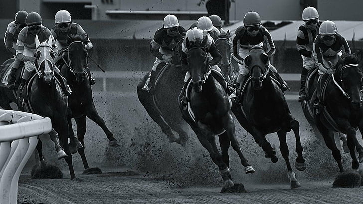 equestrian, horse, horses, jockey, race, racing, sport, HD wallpaper