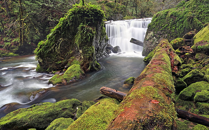 Forest River Waterfall Log Moss Rocks Stones HD, ธรรมชาติ, ป่า, หิน, หิน, แม่น้ำ, น้ำตก, ตะไคร่น้ำ, บันทึก, วอลล์เปเปอร์ HD