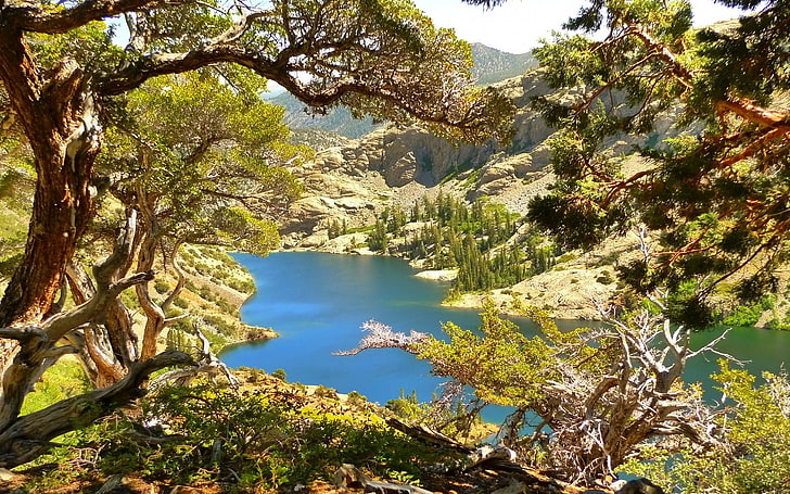 การถ่ายภาพทิวทัศน์ธรรมชาติทะเลสาบภูเขาต้นไม้ฤดูร้อนเซียร์ราเนวาดาแคลิฟอร์เนีย, วอลล์เปเปอร์ HD