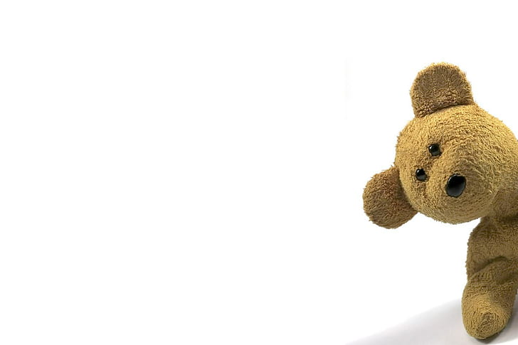 beruang, imut, boneka, pink, beruang teddy, Wallpaper HD