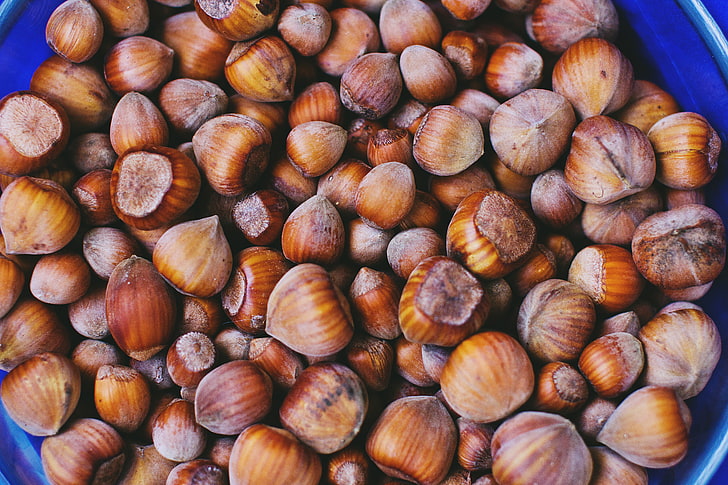 brown chestnuts, hazelnuts, walnuts, shell, HD wallpaper