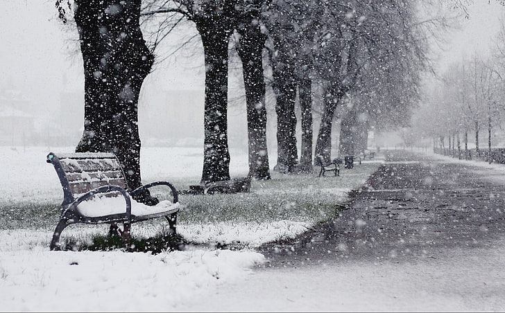 冬は雪に覆われた木々に囲まれた経路、 HDデスクトップの壁紙