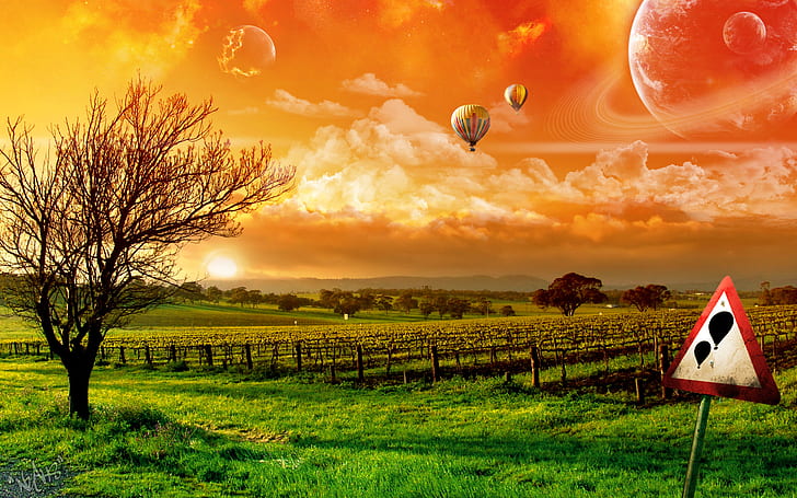 Ballon-Fahrt HD, grüne Rasenfläche mit 1 leerem Baum und 2 Heißluftballonen, Fantasie, träumerisch, Ballon, Fahrt, HD-Hintergrundbild