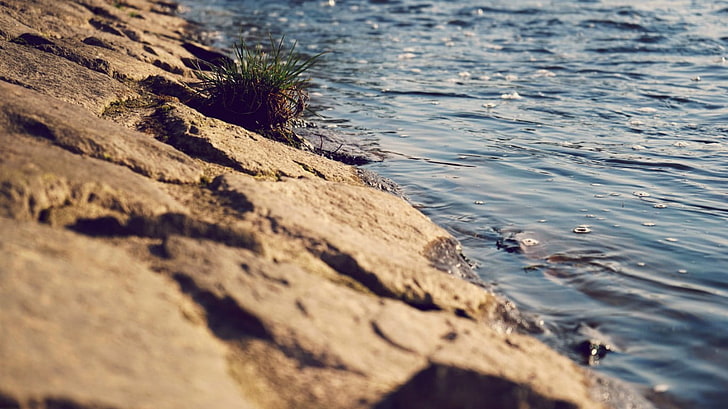 cuerpo de agua, río, agua, naturaleza, Fondo de pantalla HD