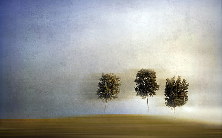 Poster Pohon, foto pohon, latar belakang pohon, foto pohon, pemandangan, Wallpaper HD