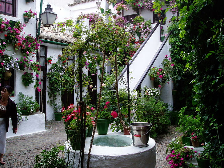 Patio, spain, patio, wall, flowers, cordoba, andalucia, animals, HD wallpaper