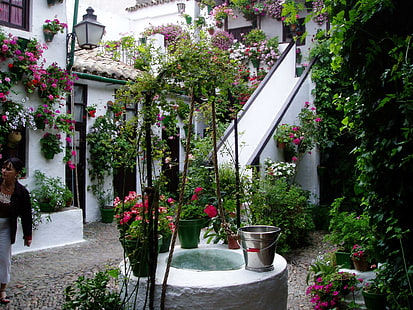 Внутренний дворик, испания, внутренний дворик, стена, цветы, кордоба, андалусия, животные, HD обои HD wallpaper