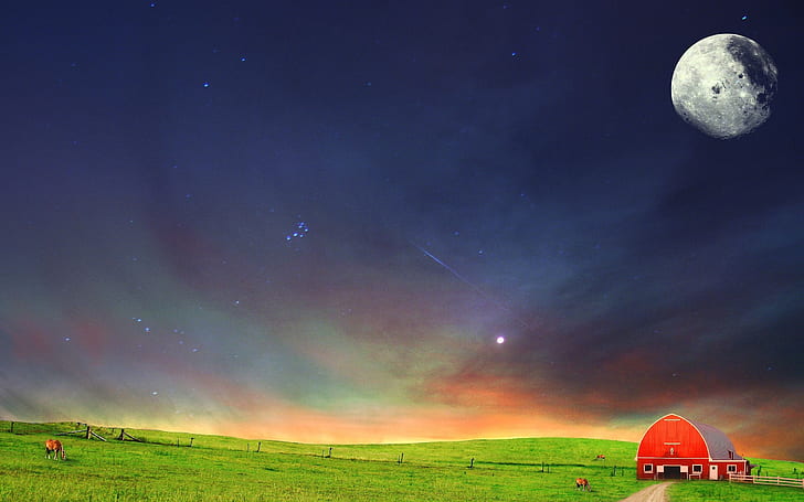 Small Red House, animals, landscape, moonm sky, stars, HD wallpaper
