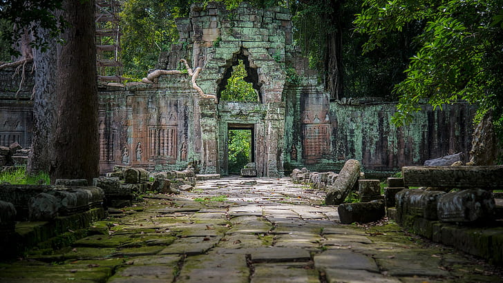trees, leaves, moss, rocks, plants, walkway, temple, Cambodia, roots, ancient, ruins, HD wallpaper