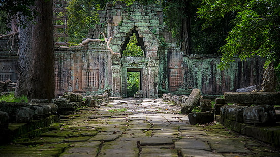  trees, leaves, moss, rocks, plants, walkway, temple, Cambodia, roots, ancient, ruins, HD wallpaper HD wallpaper