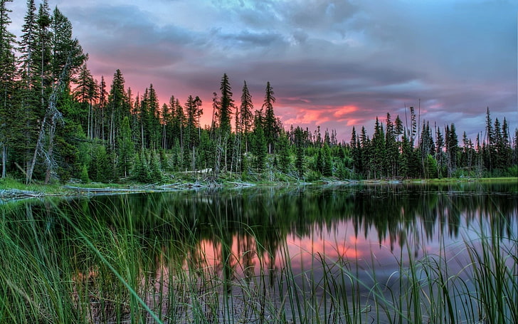 잔잔한 호수 물 소나무 숲 어두운 구름 바탕 화면 Hd 52017, HD 배경 화면